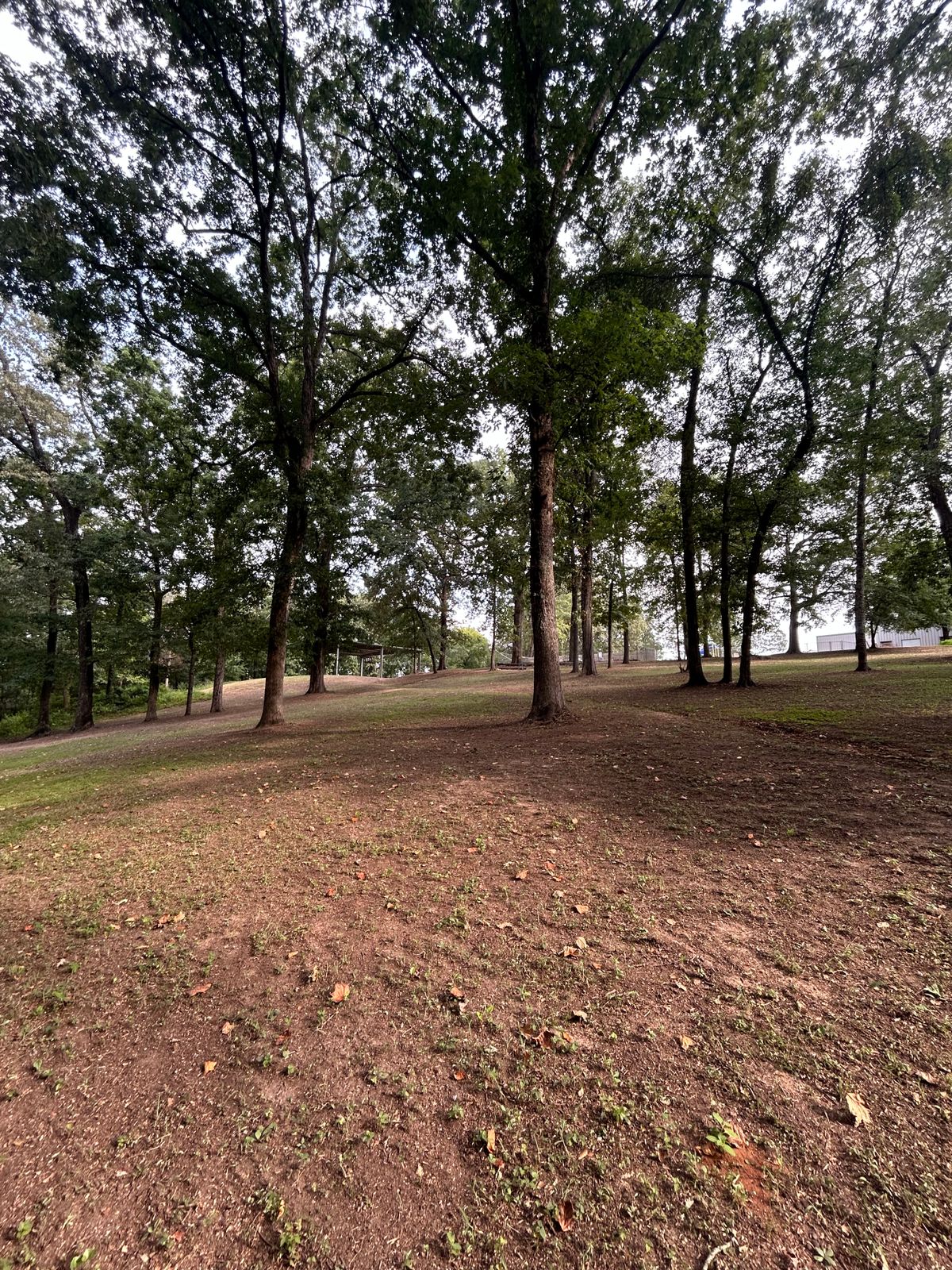 Open uphill shot on hole 6
