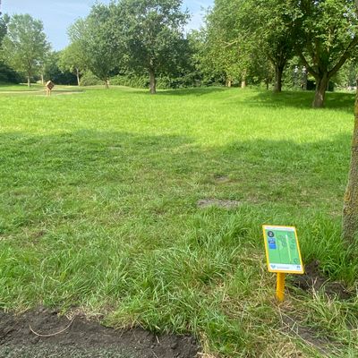 Hole 2