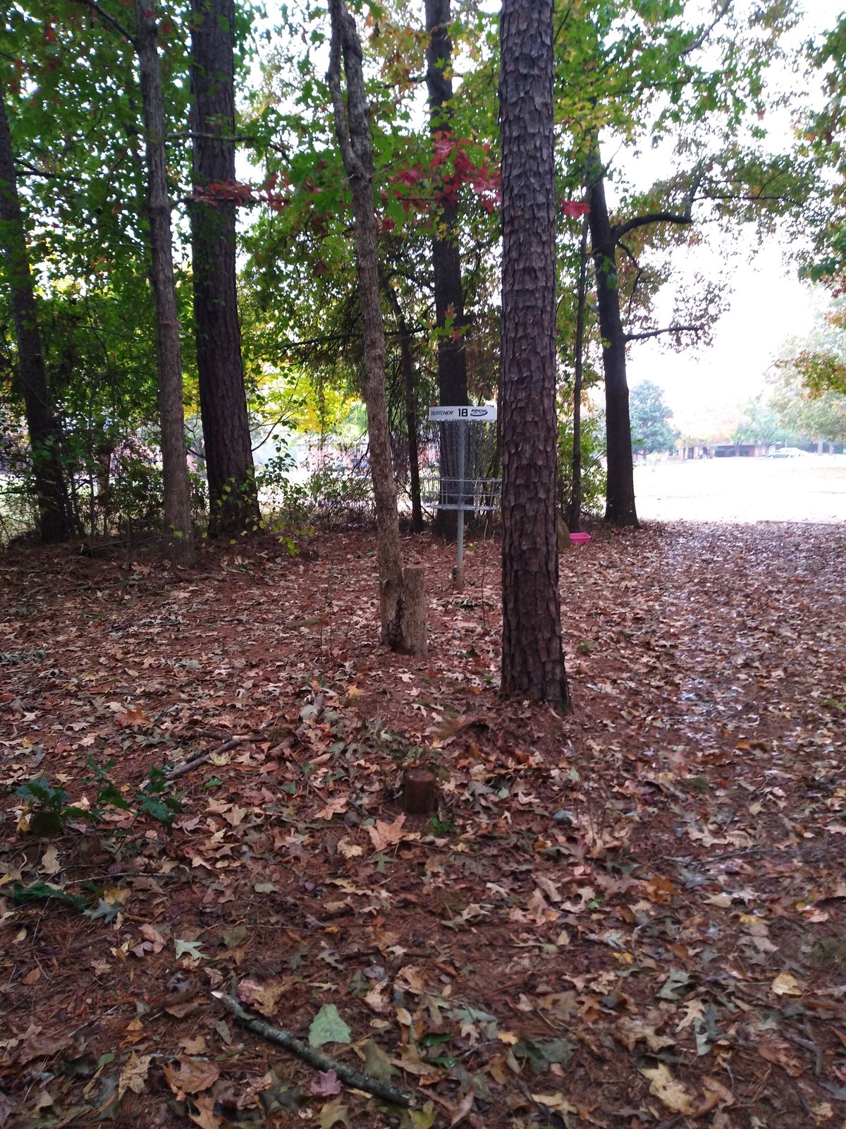 basket 18 finishes near the parking lot.