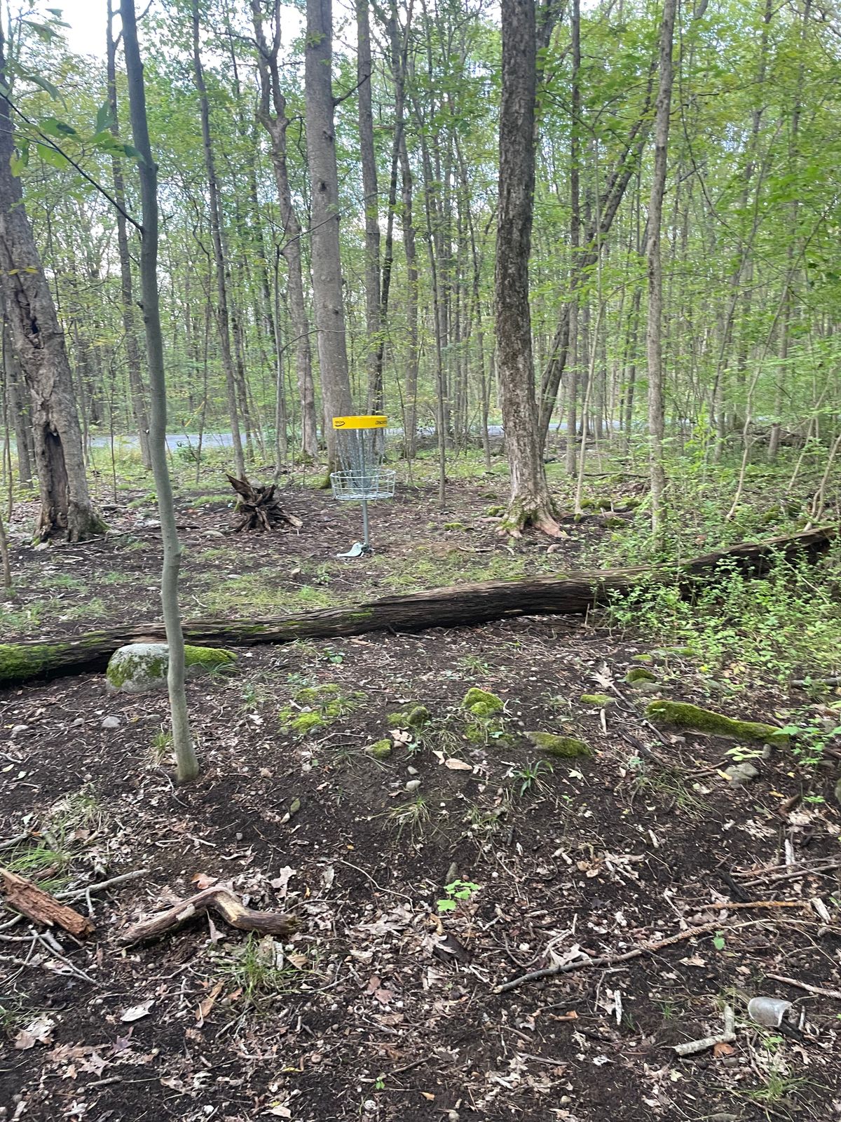 Hole 9 Basket
