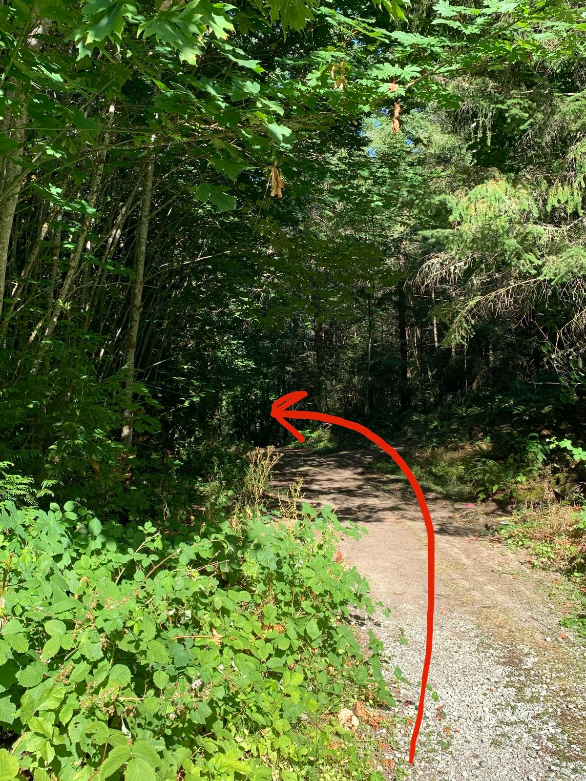 Hole 9, Part 1: Bank Shot