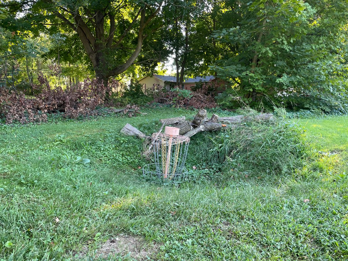 Hole 7 basket - in the ground!