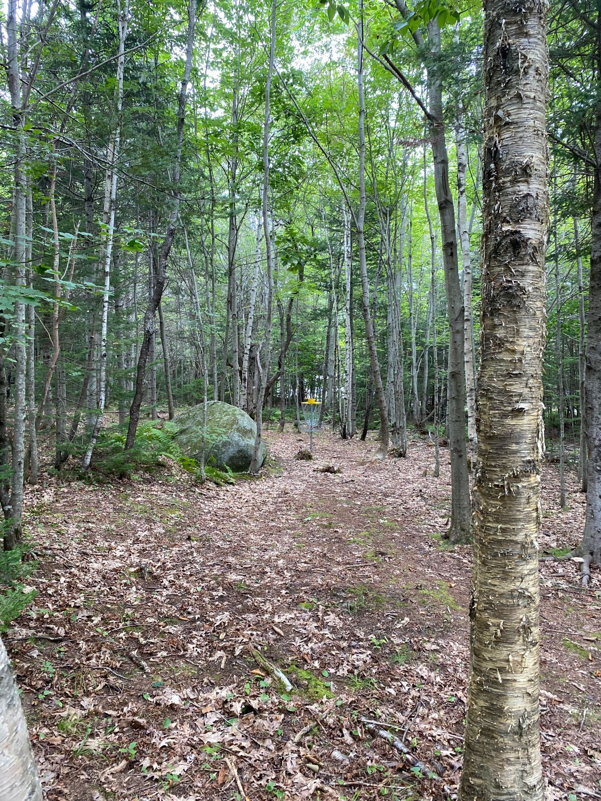 Hole 2