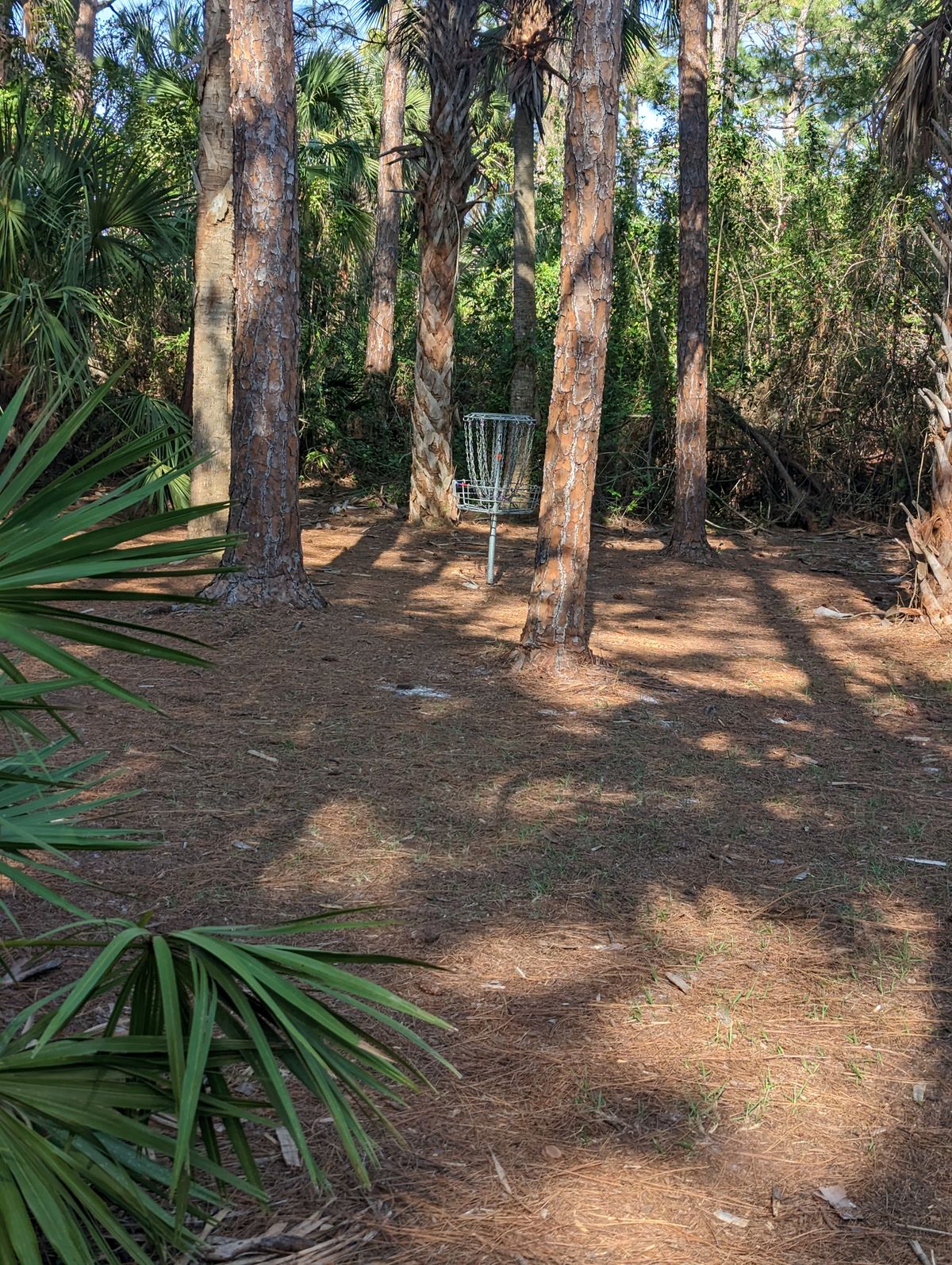 Hole 4 Basket