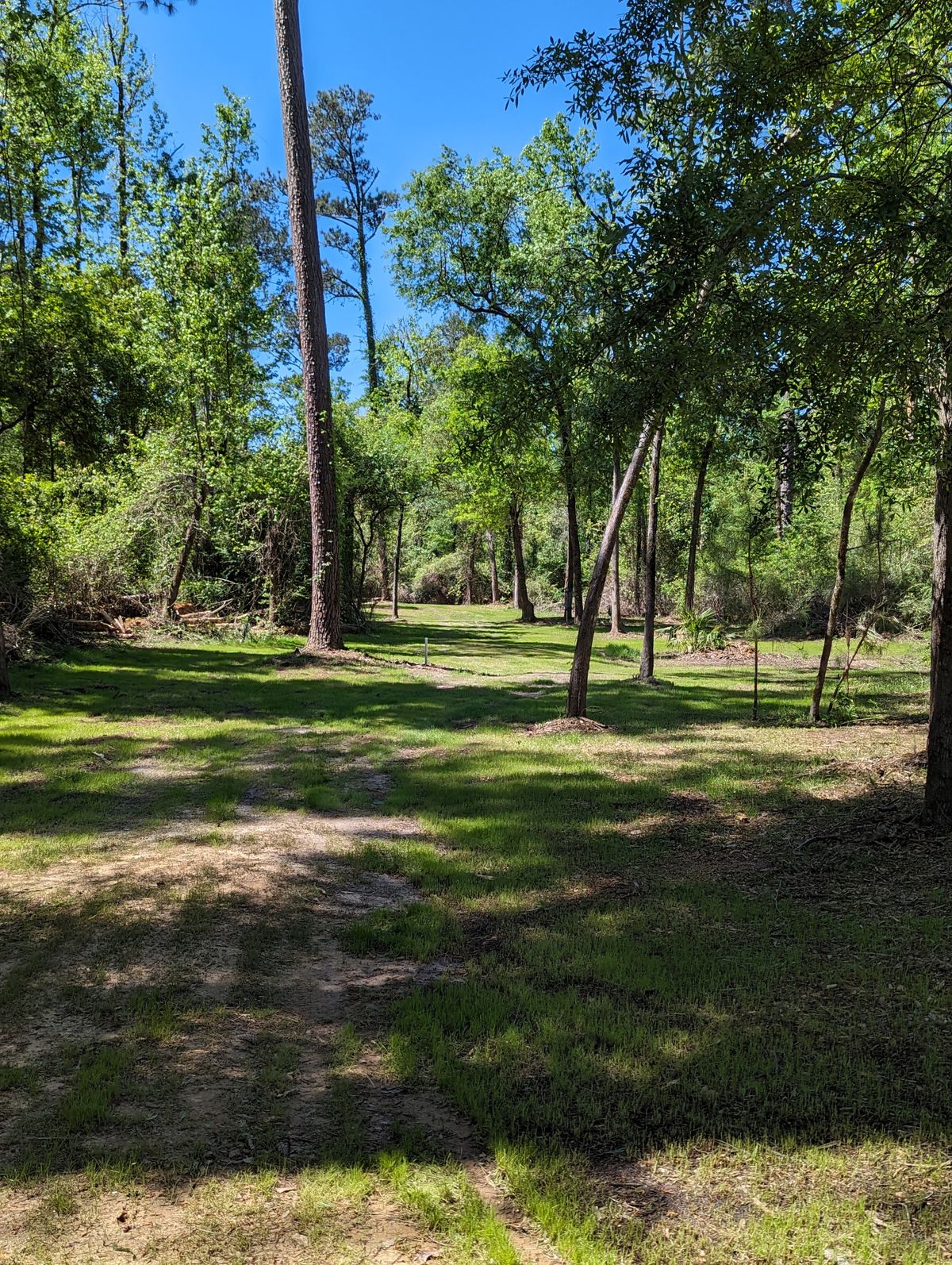 Hole 9 Fairway 2