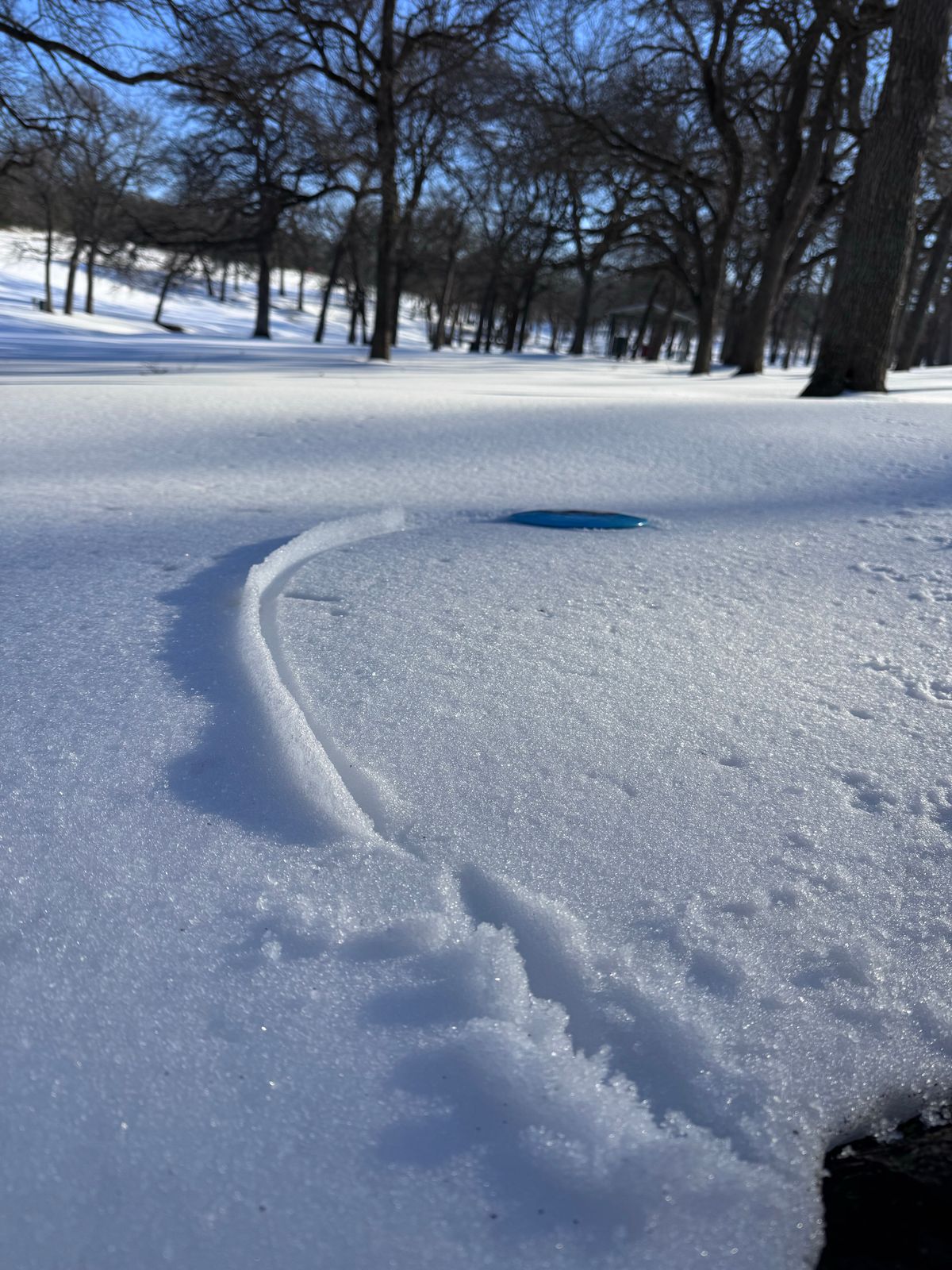 1/28/26 Destroyer on Hole11 Longs