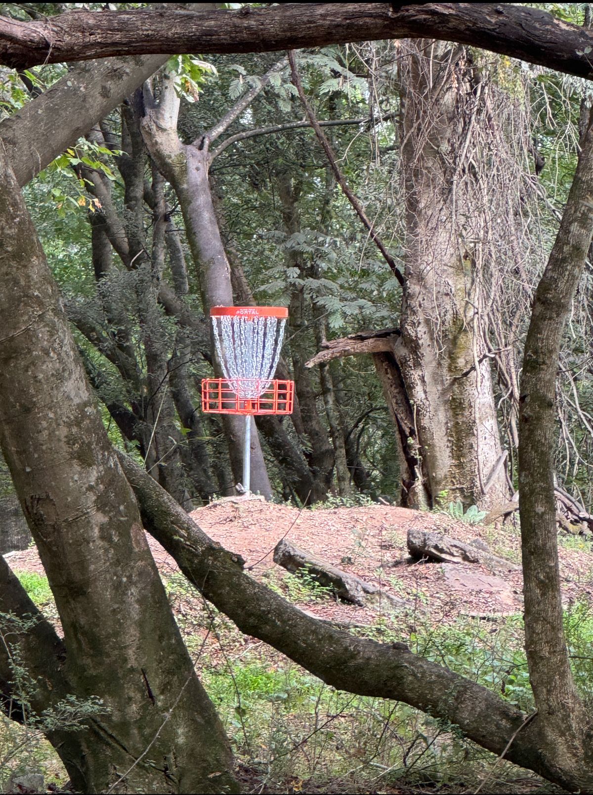 Hole 12……The Window