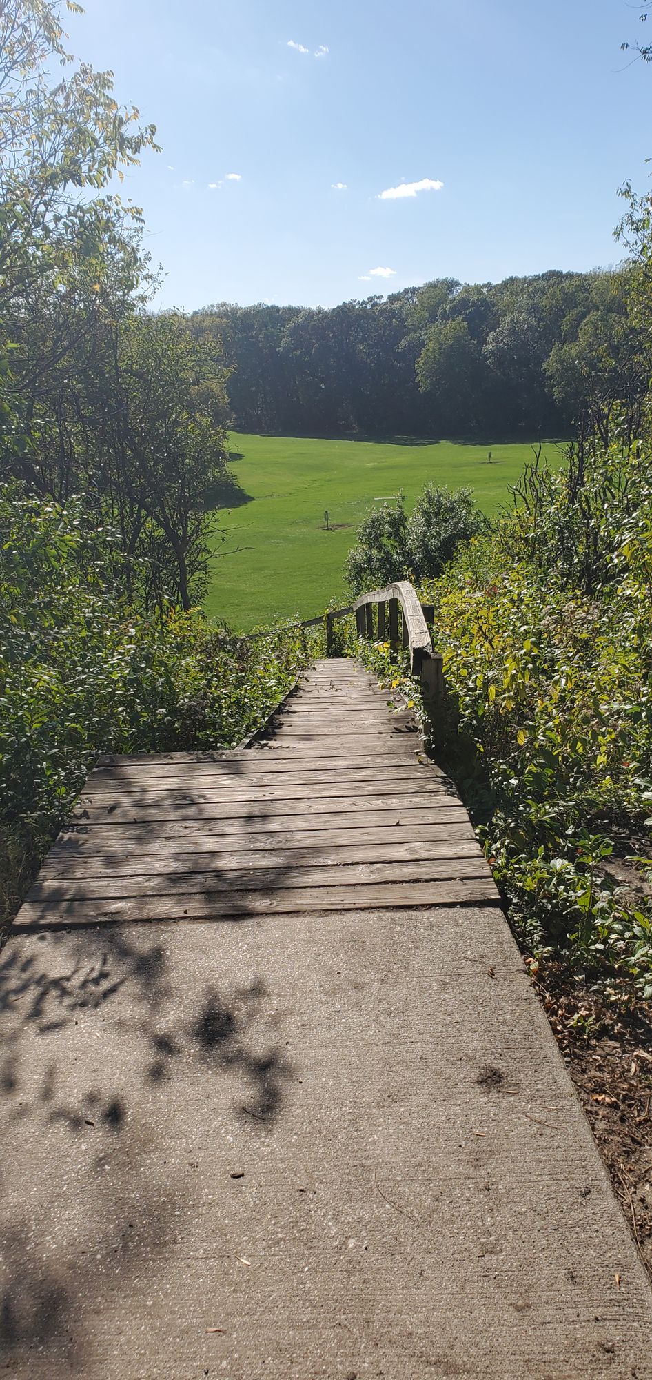From short tee to basket on 16