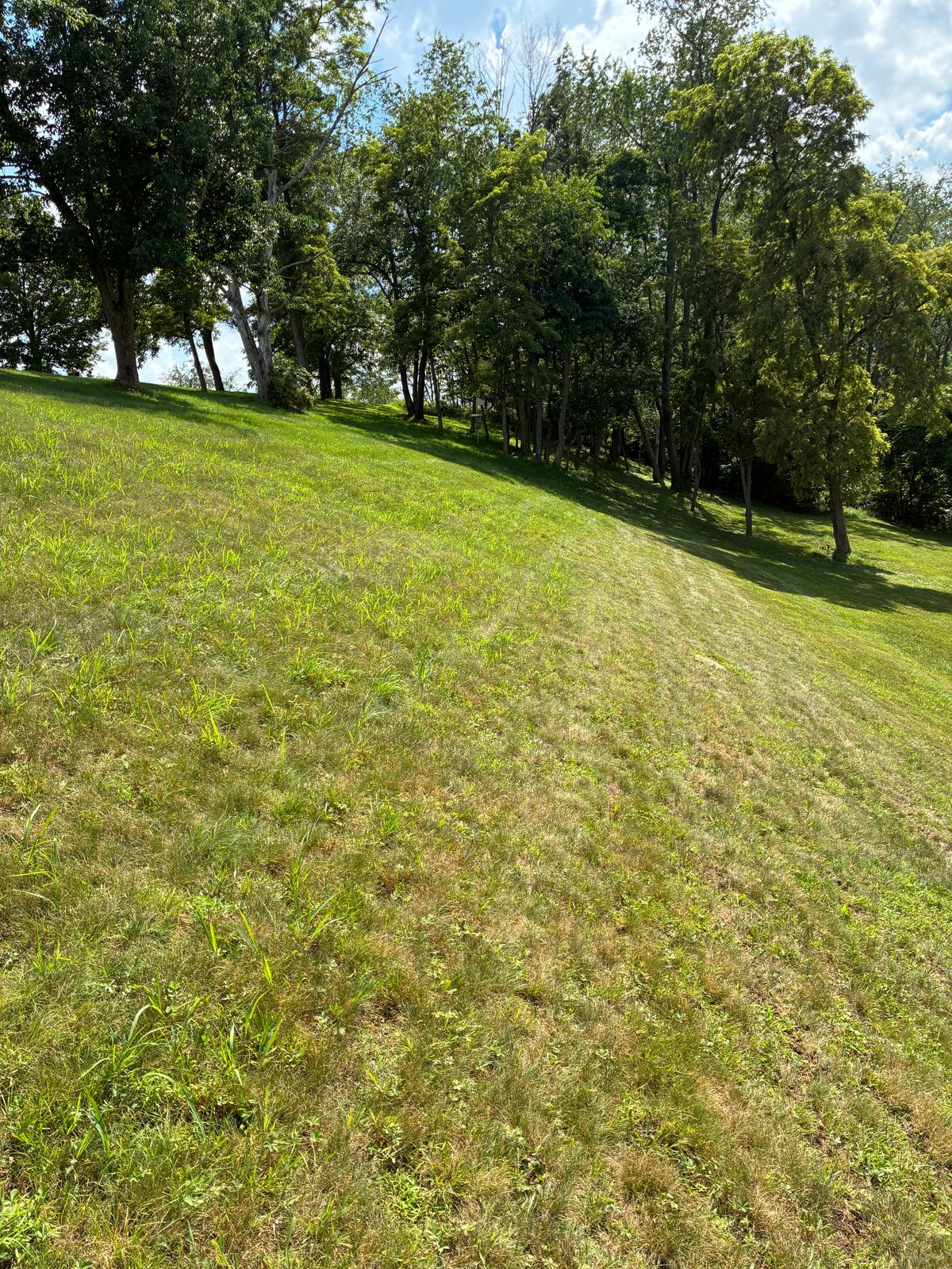 #9 fairway toward basket.
