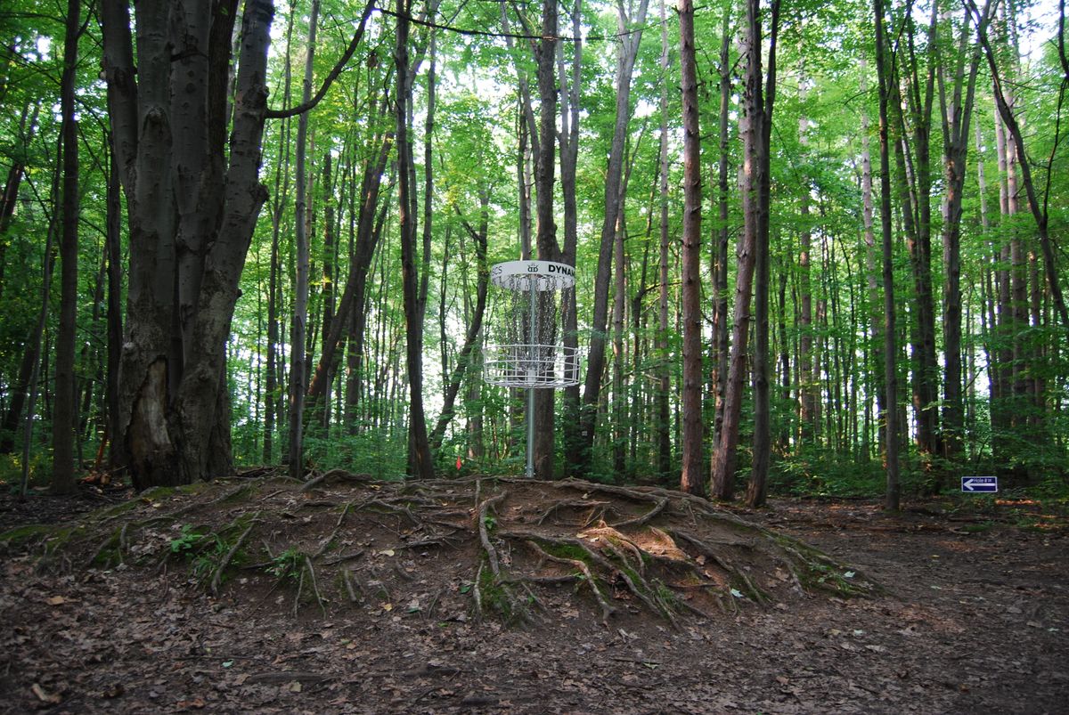 Hole 13 Long pin position area 