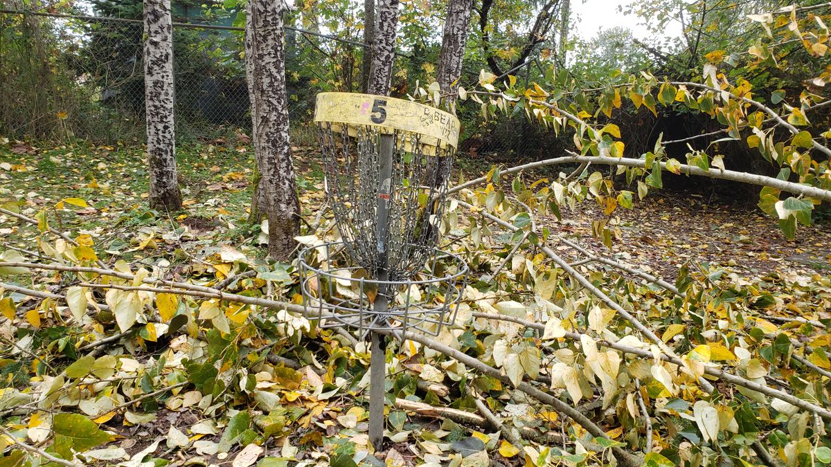 Damage to the #5 basket from a fallen tree.