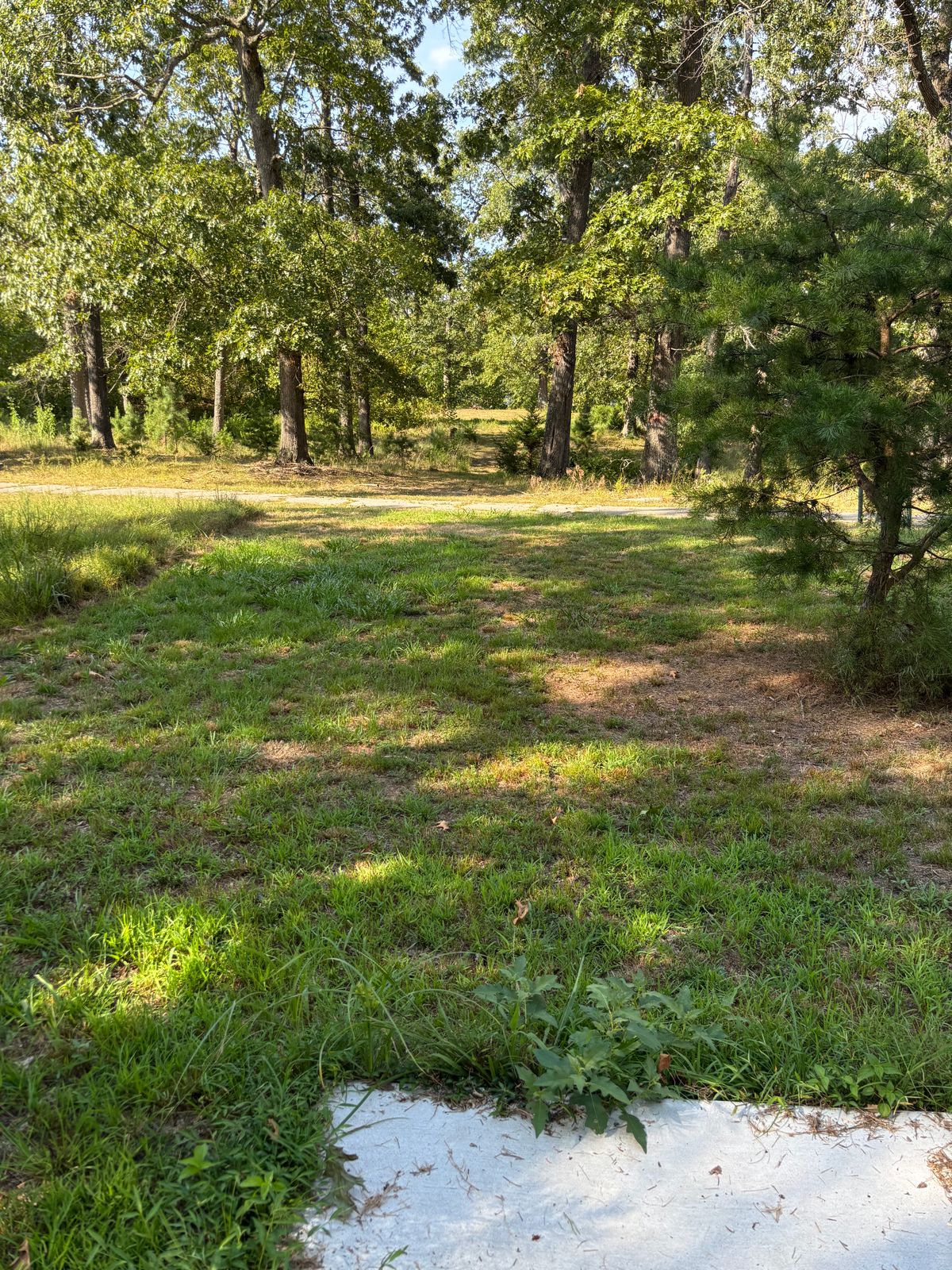 Hole 11 red (long) tee, aimed at blue (short) basket.