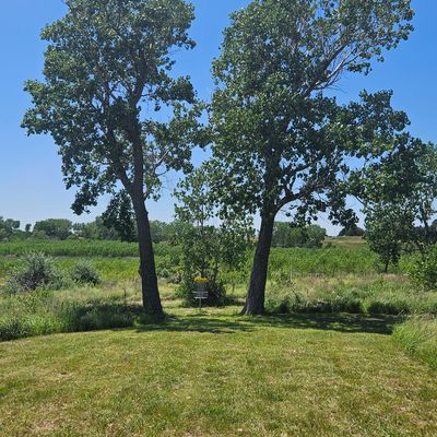 Hole 1 - Towering twin cottonwoods make 300ft a little more interesting.