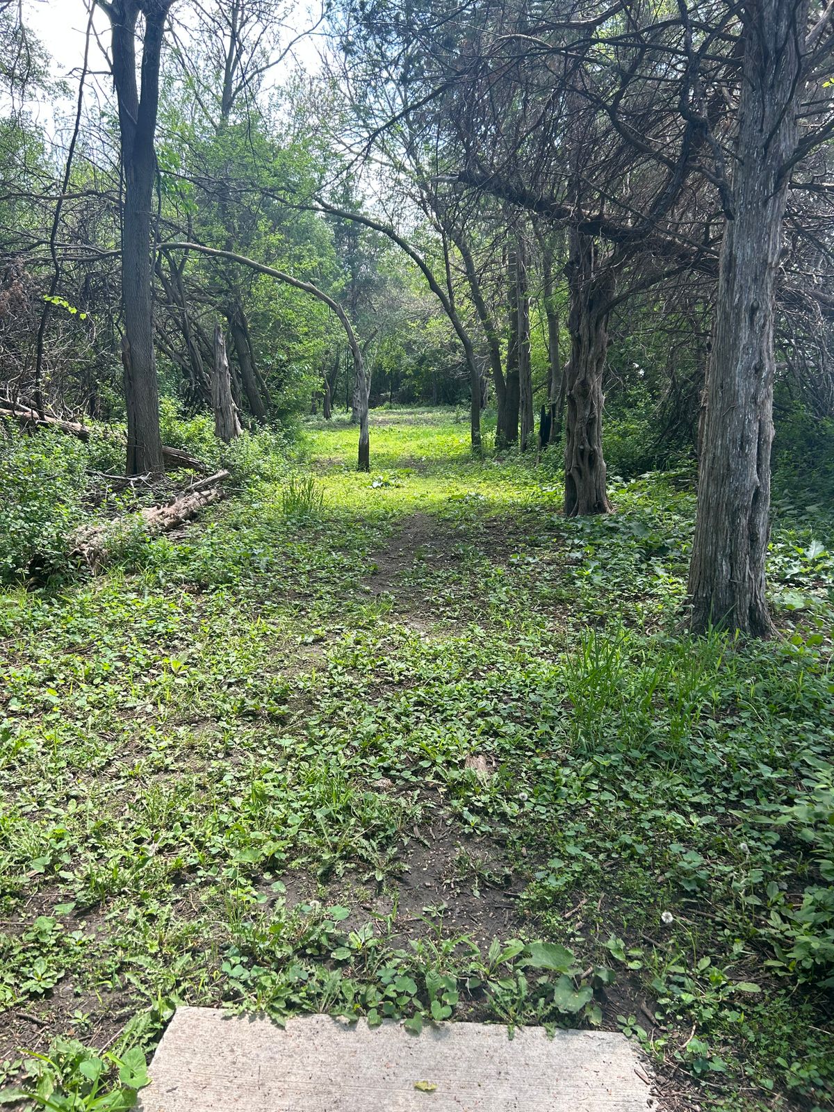 Hole 13