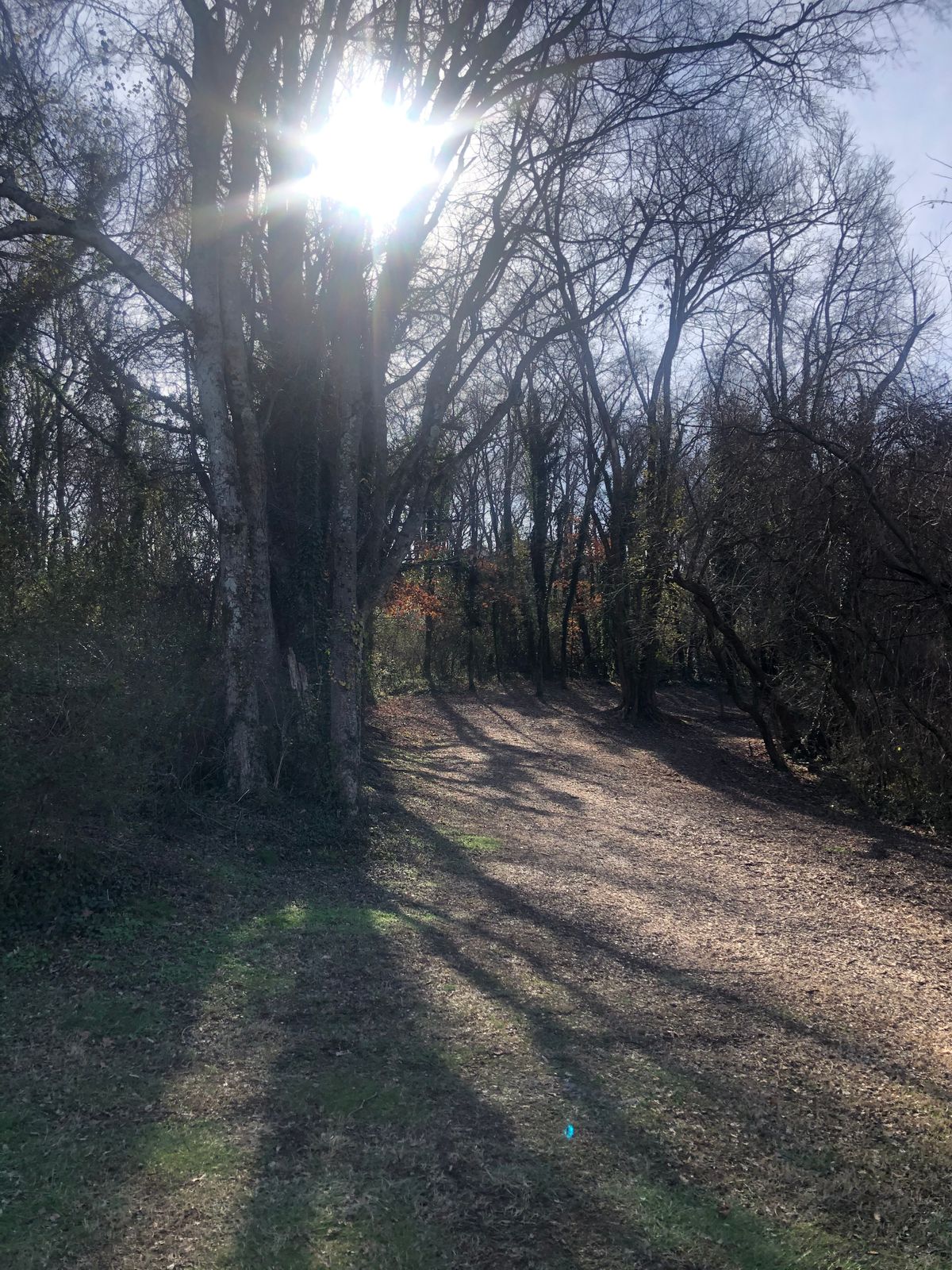 Hole 4