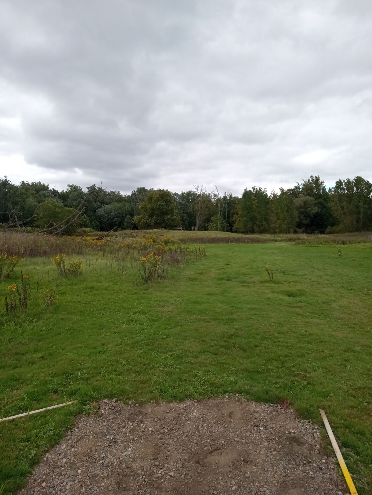 Hole 8