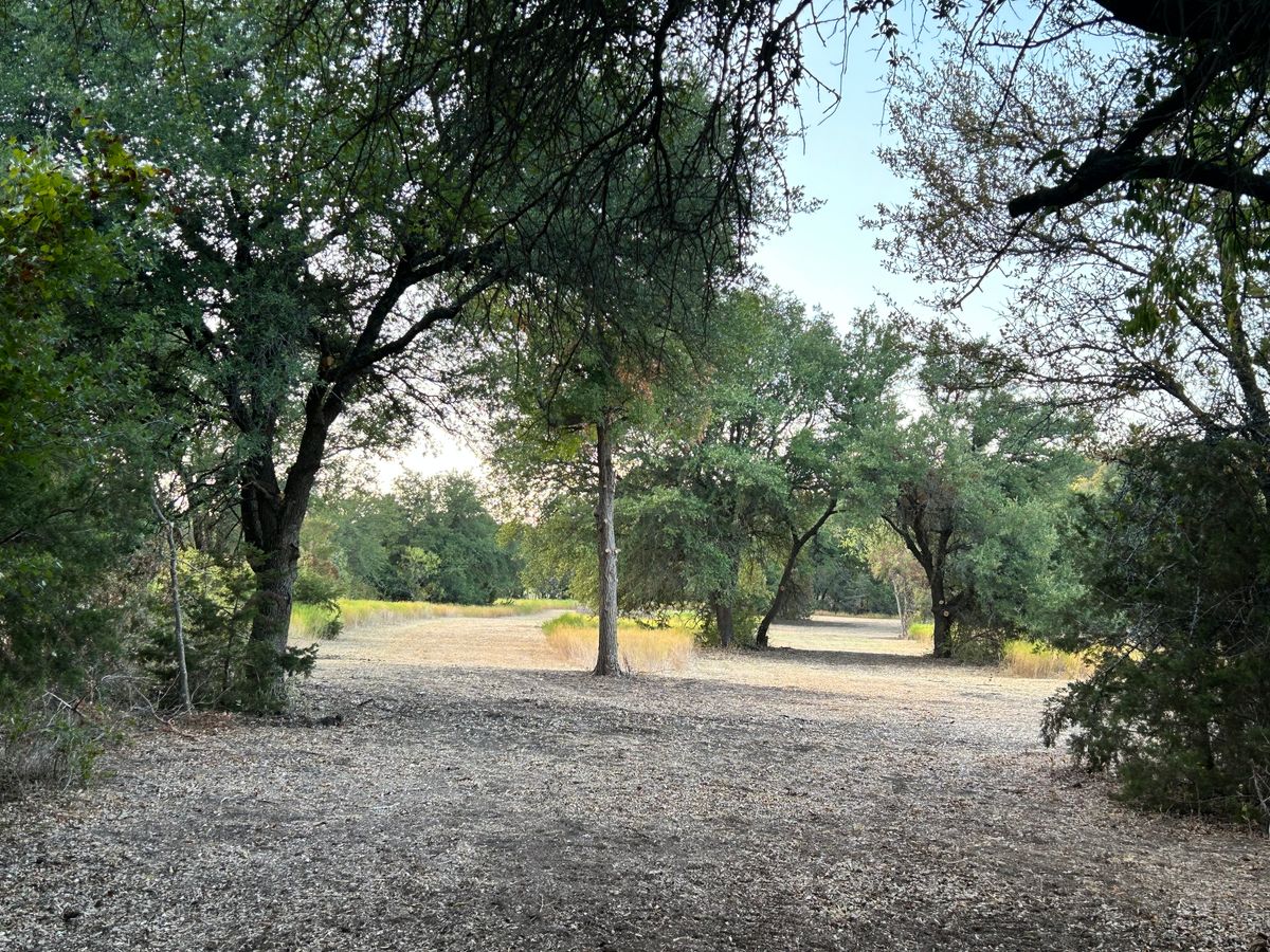 Hole 5 tee pad