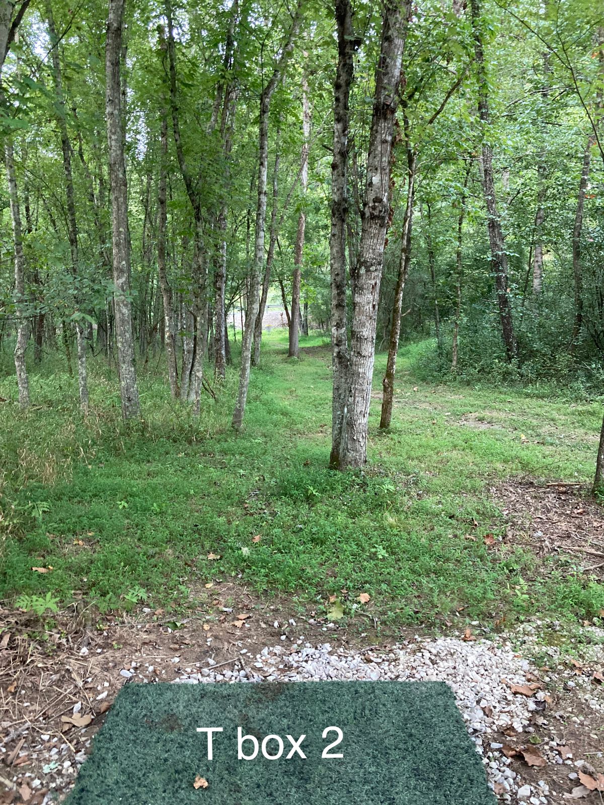 T box 2 hole9