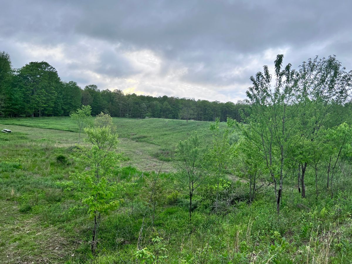 Hole 7.