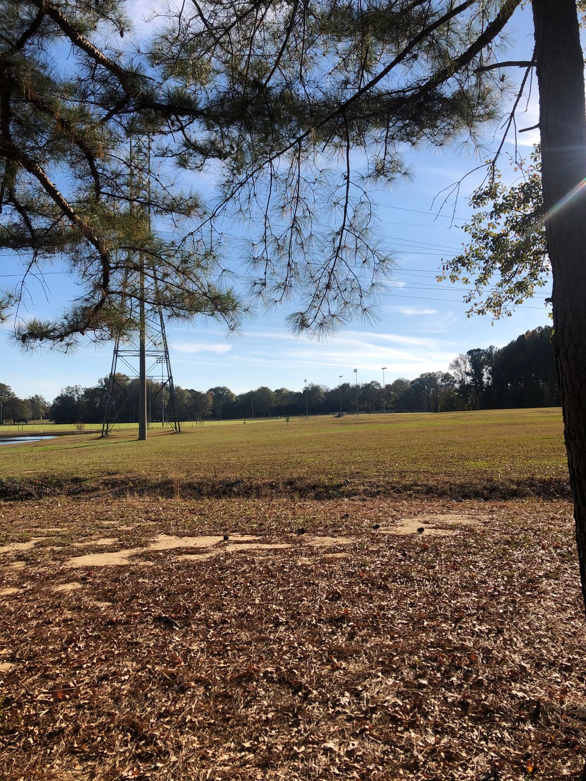 Hole 15