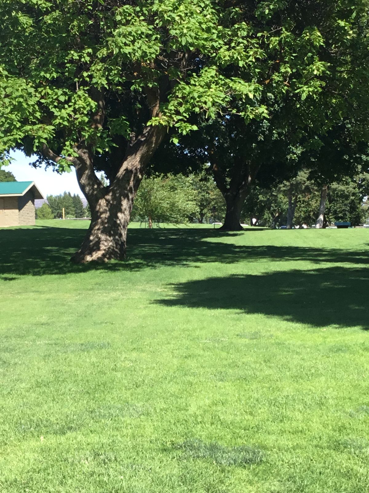 shot of Hole #4 from tee box