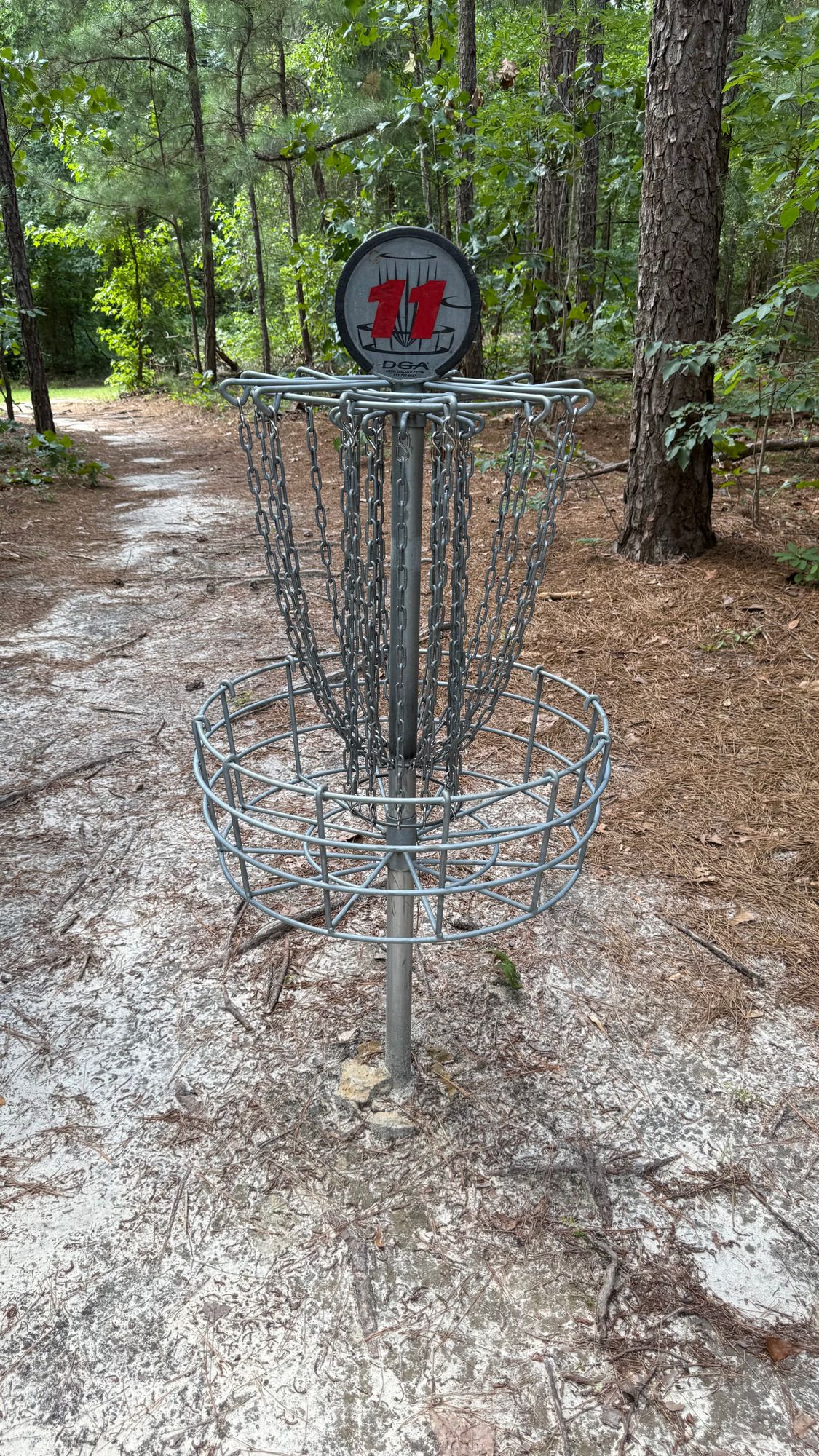 Hole 11 Basket