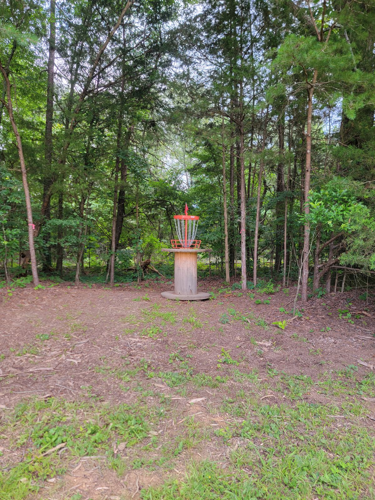 Hole 3 basket