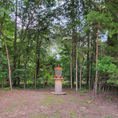 Hole 3 basket