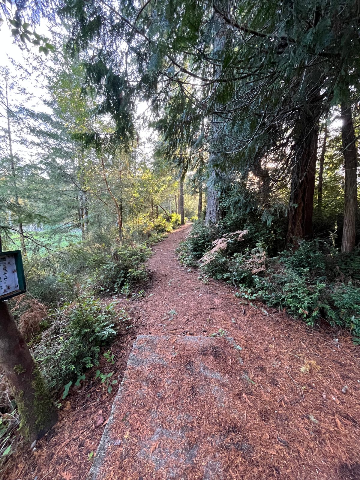 View from Tee of Hole 9