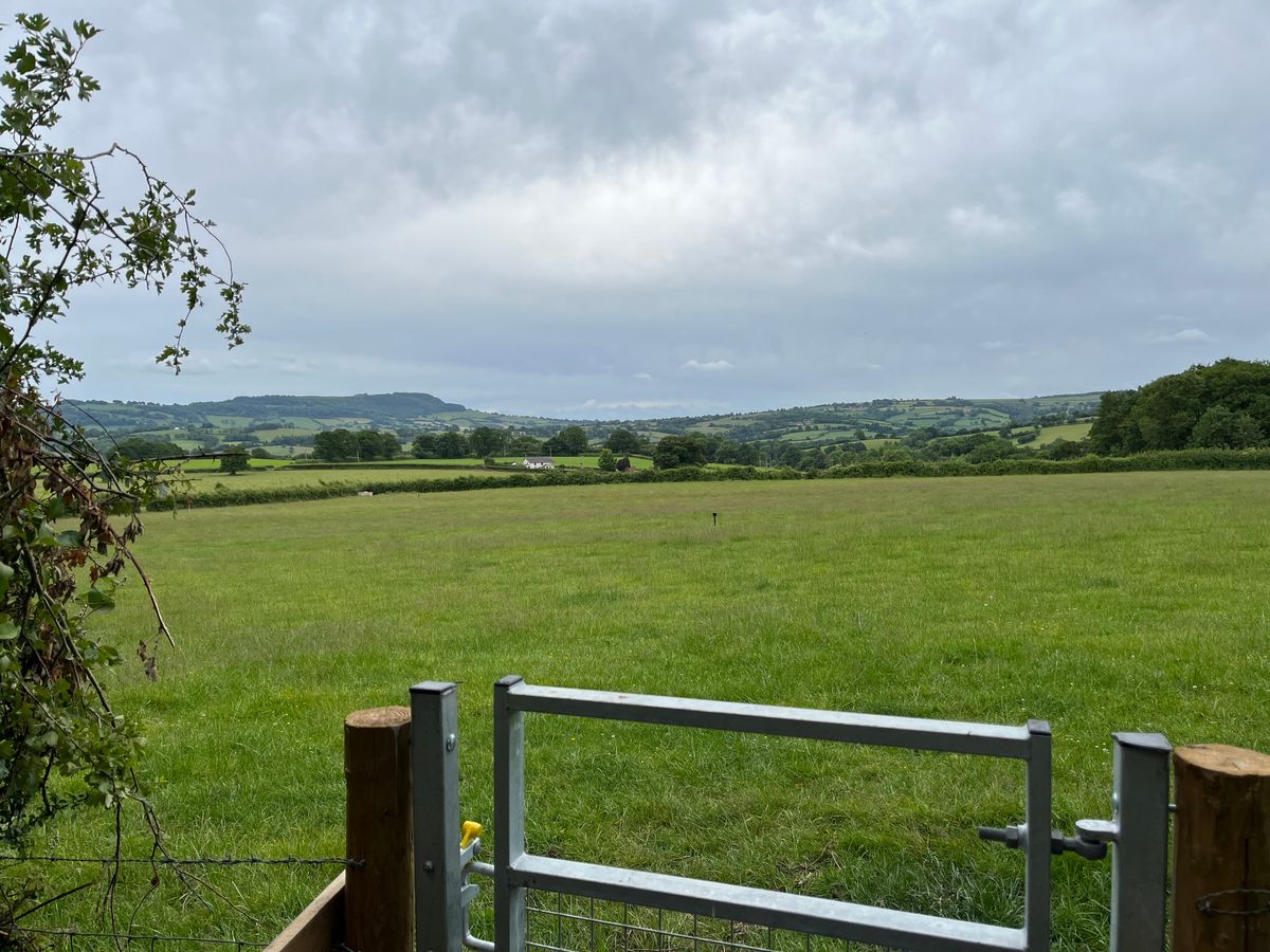 Hole17 gate to field looking back towards tees