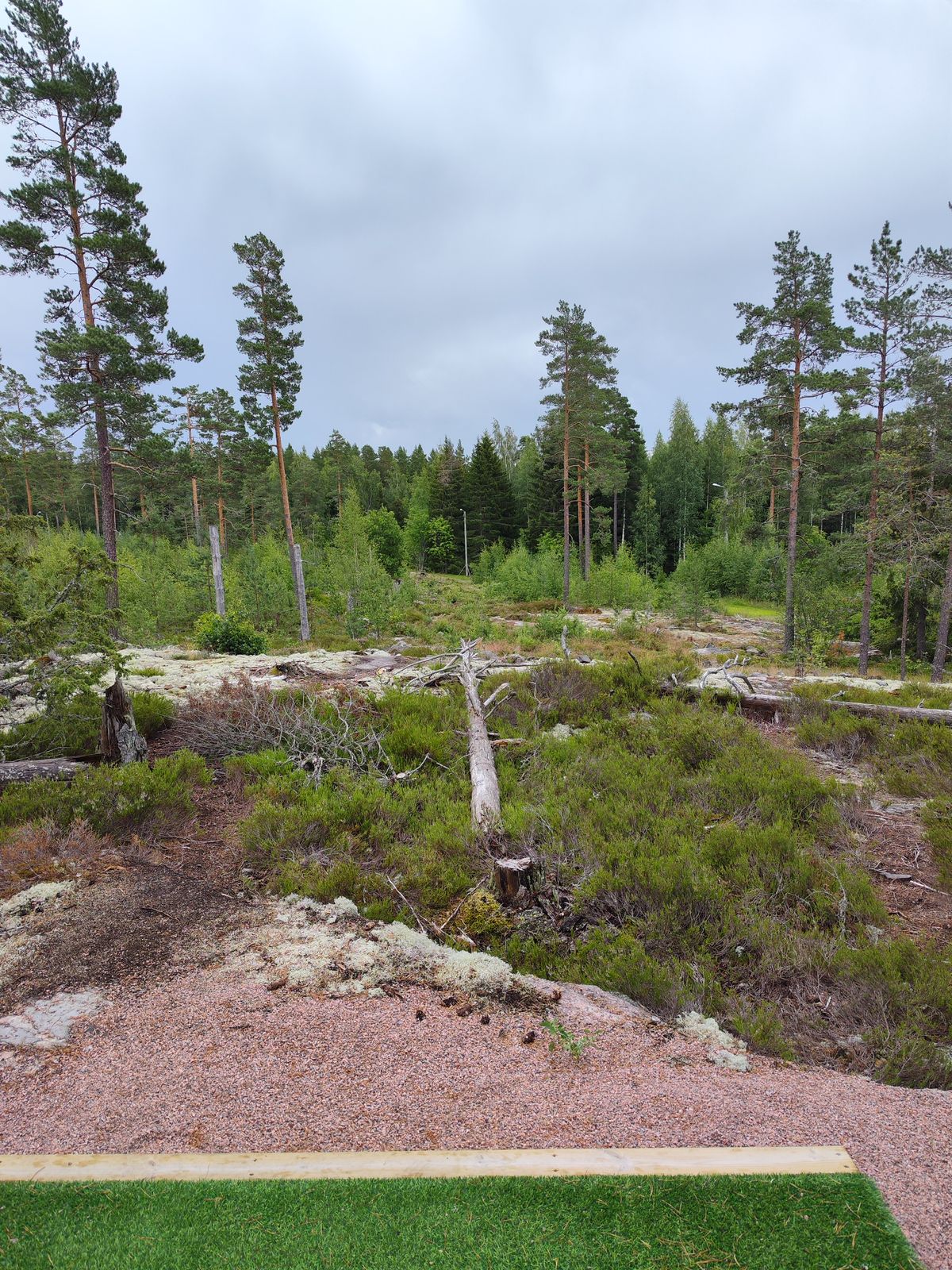 Väylä 14