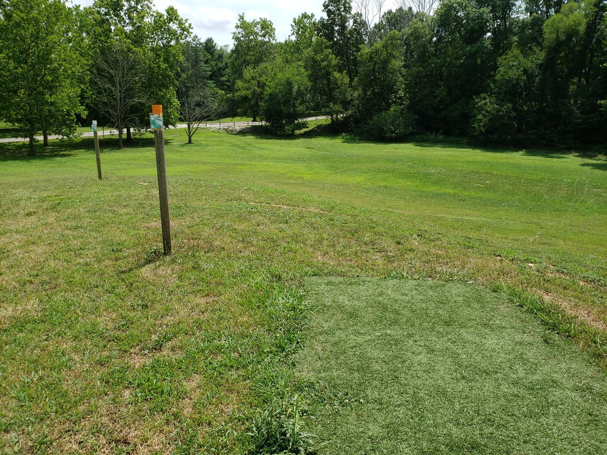 #5 Pro Tee Box Fairway view.  Amateur Tee Box off to left.