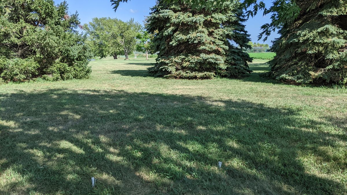 Tee #8