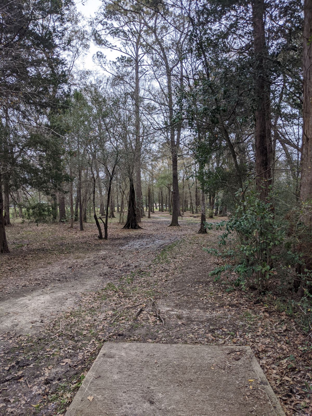 Hole 15 Blue Tee