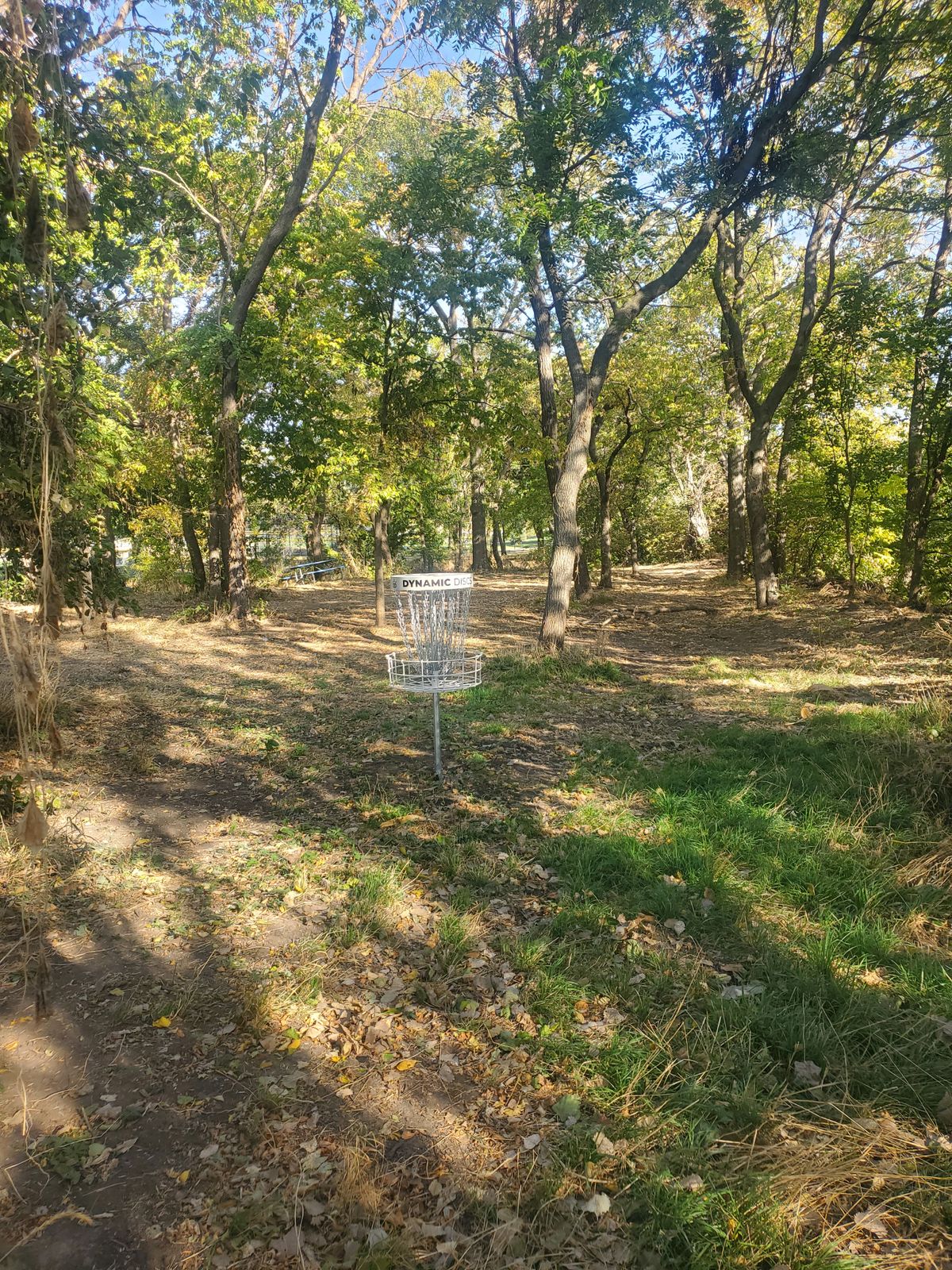 7 looking back towards teebox