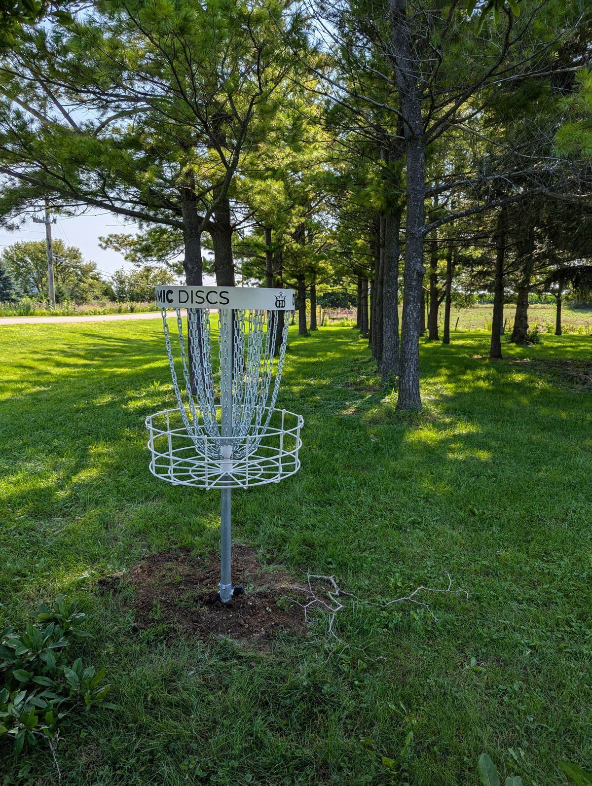 Basket of Hole 8, looking back towards the tee
