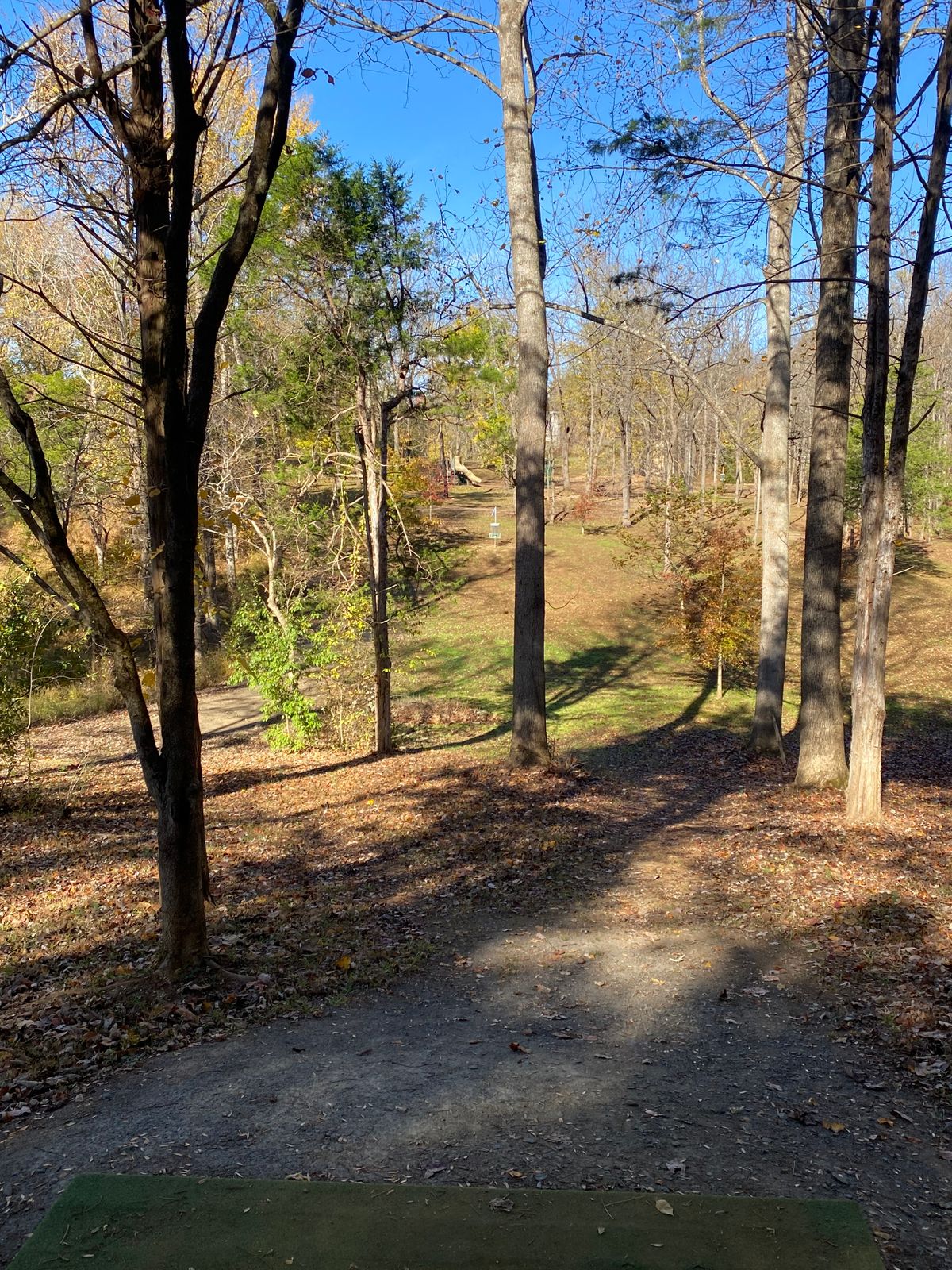 Hole 17 - tee shot needs to clear trees and basket is out in the open on a hill.