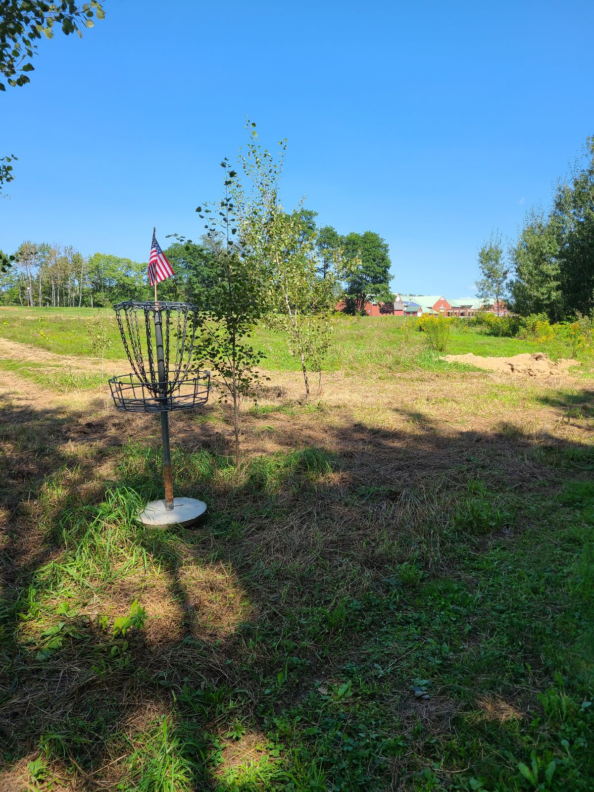 Hole 7 with Troy Howard Middle School in background