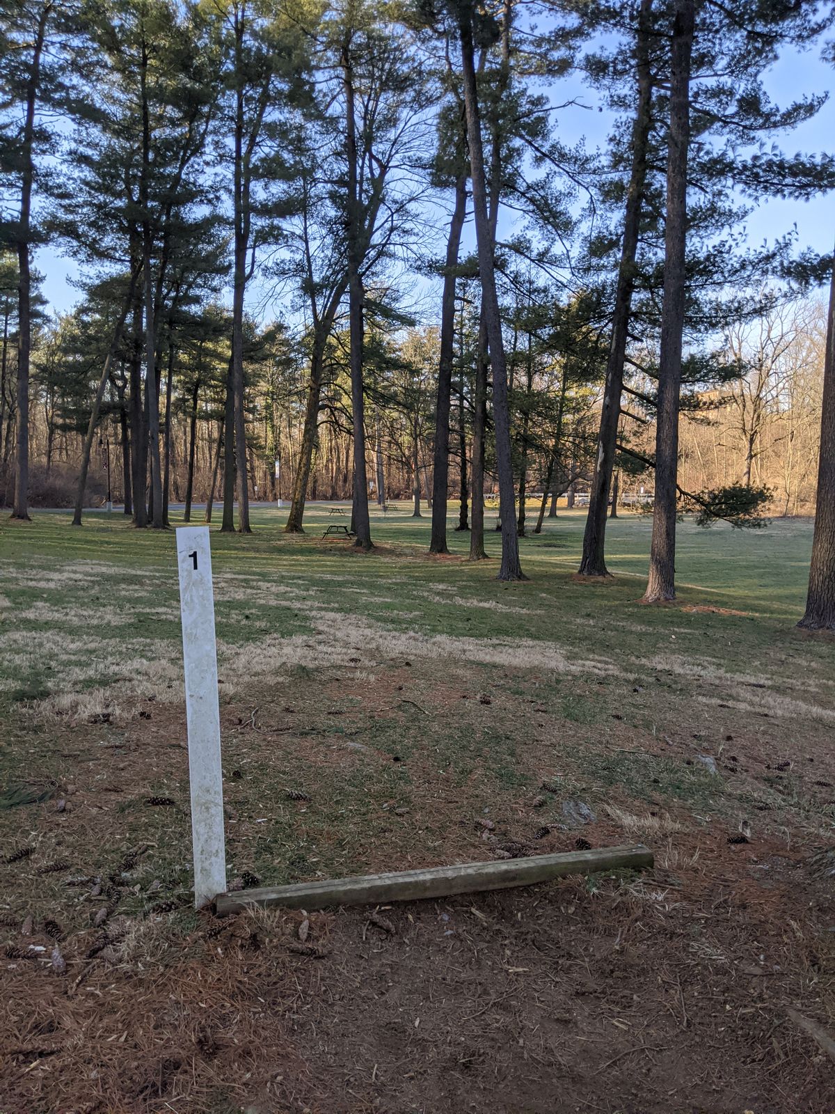 Hole #1