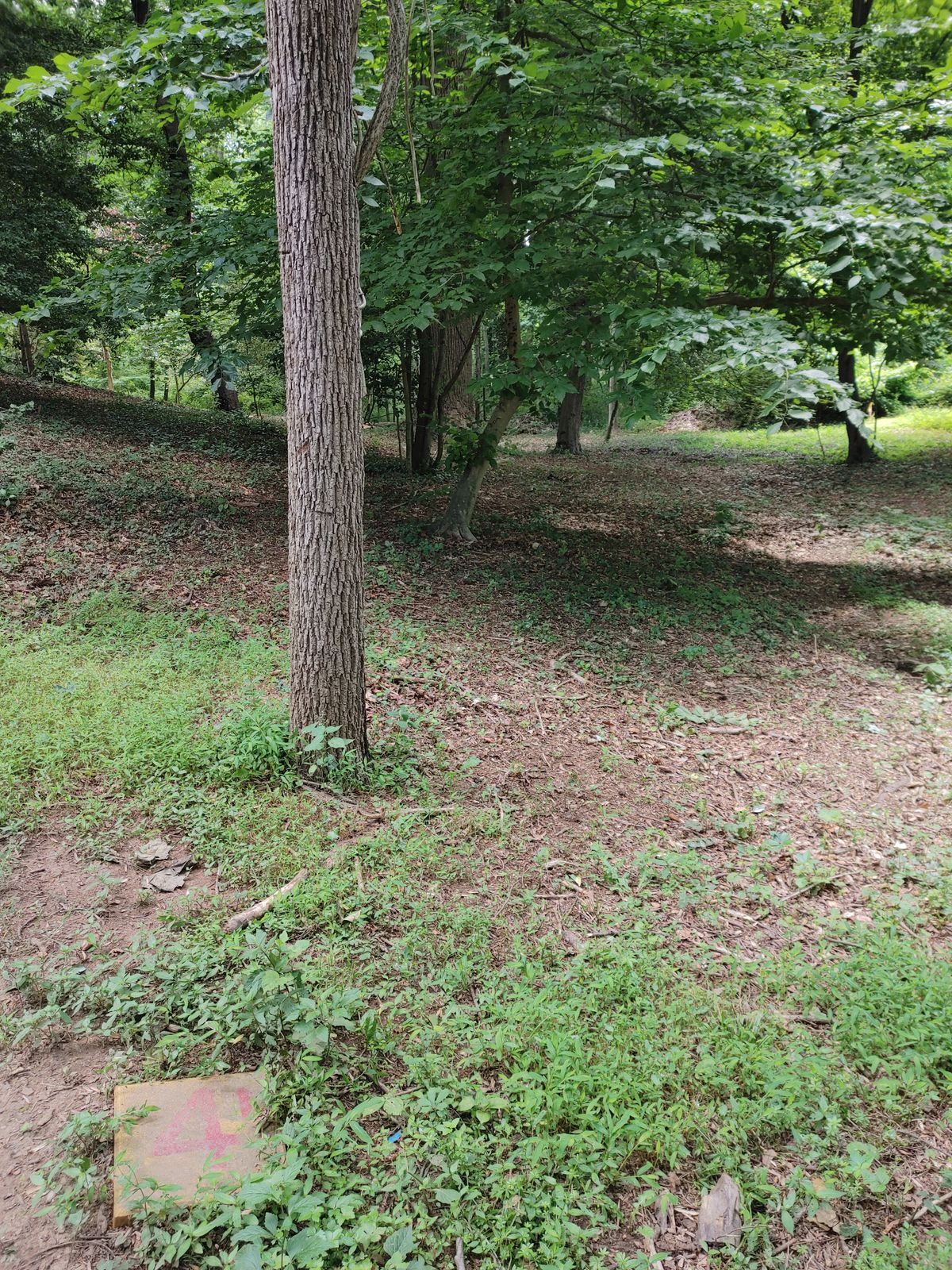 Fourth tee