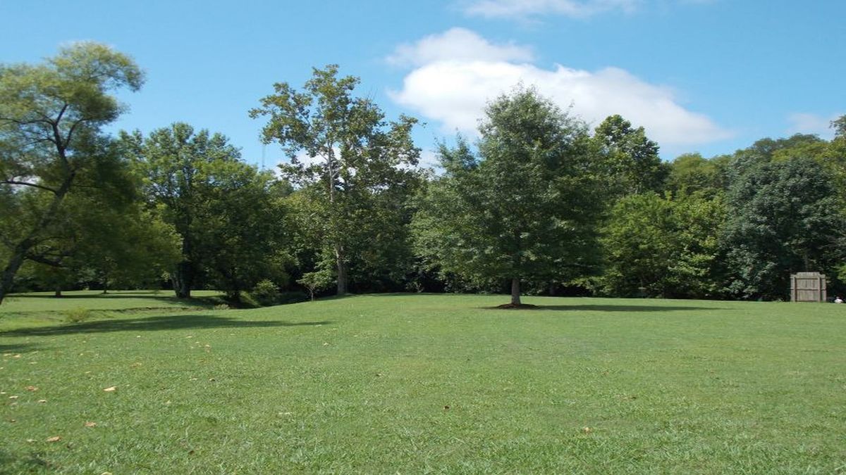 Hole 8 fairway and basket