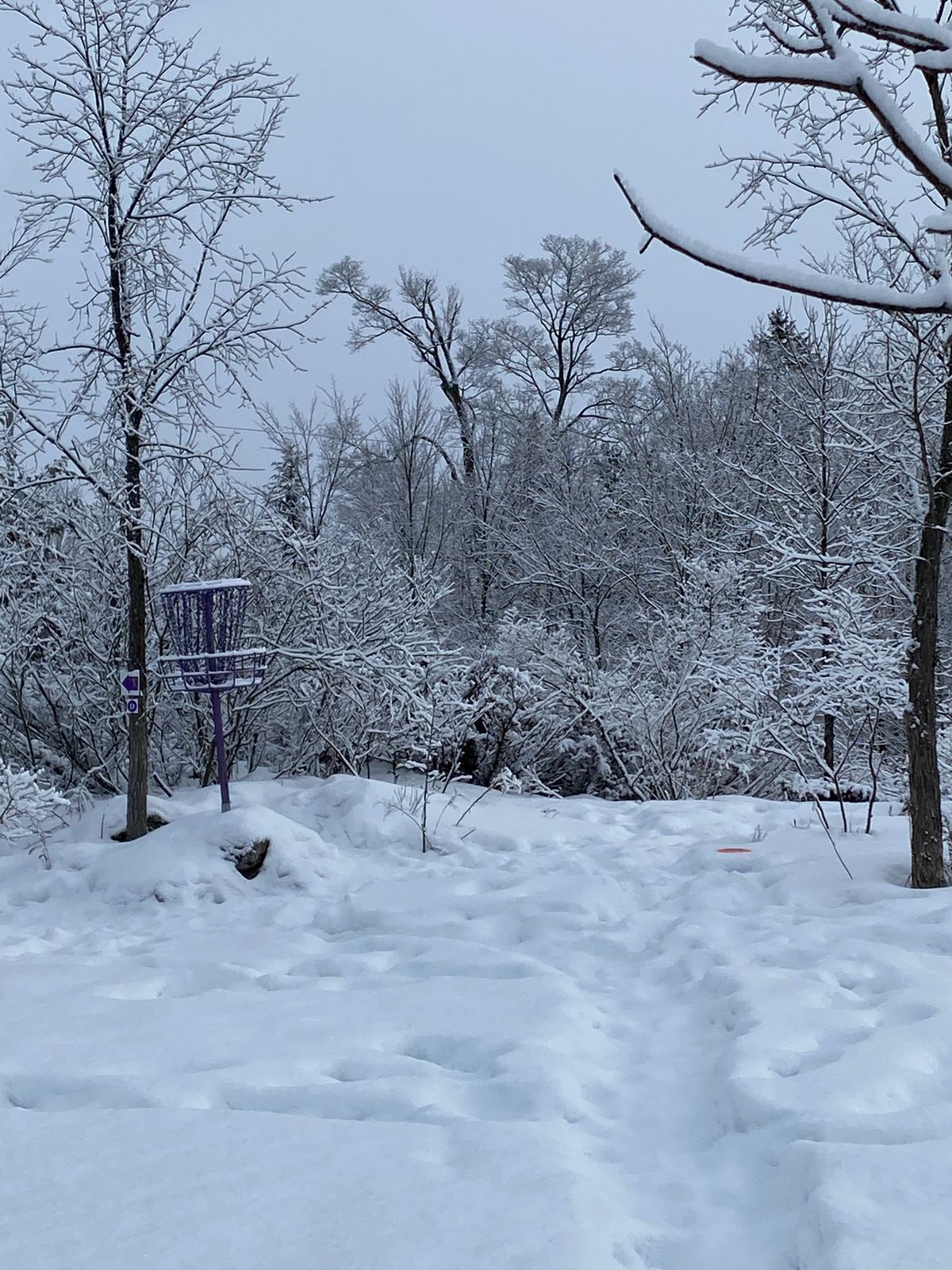 C in winter