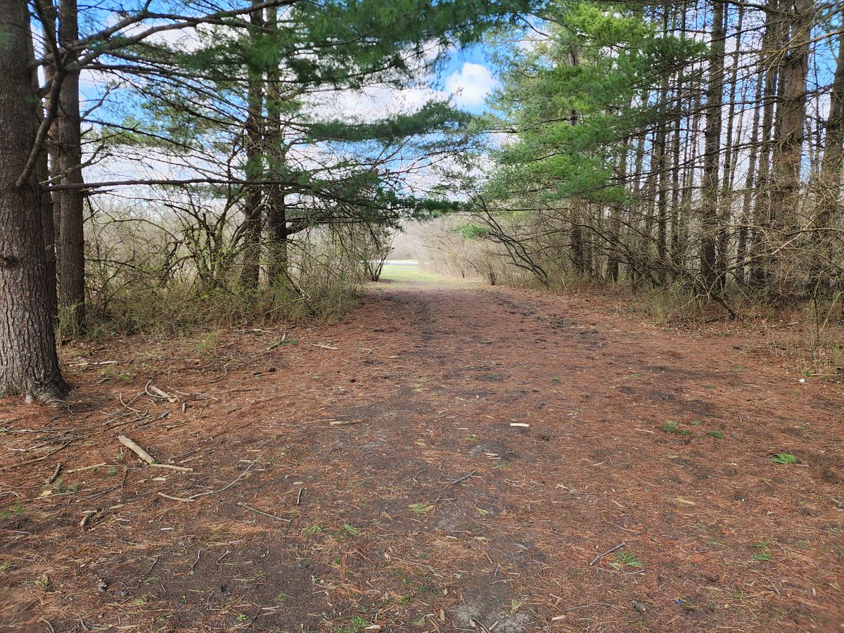 Hole 7