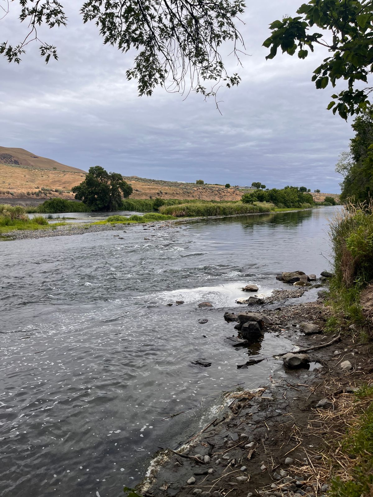 River view from hole 11 basket