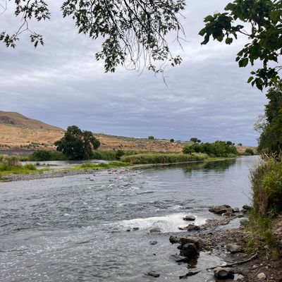 River view from hole 11 basket