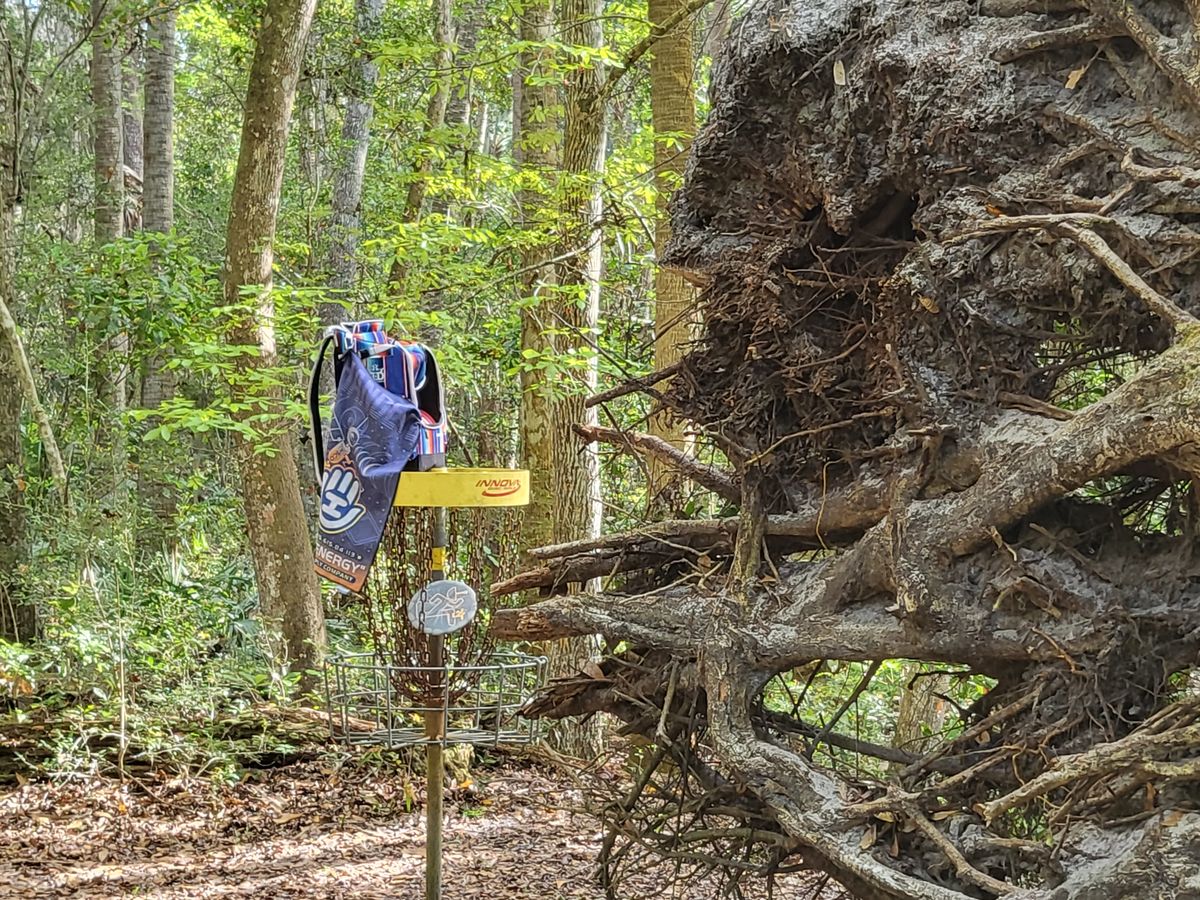 Hole #7