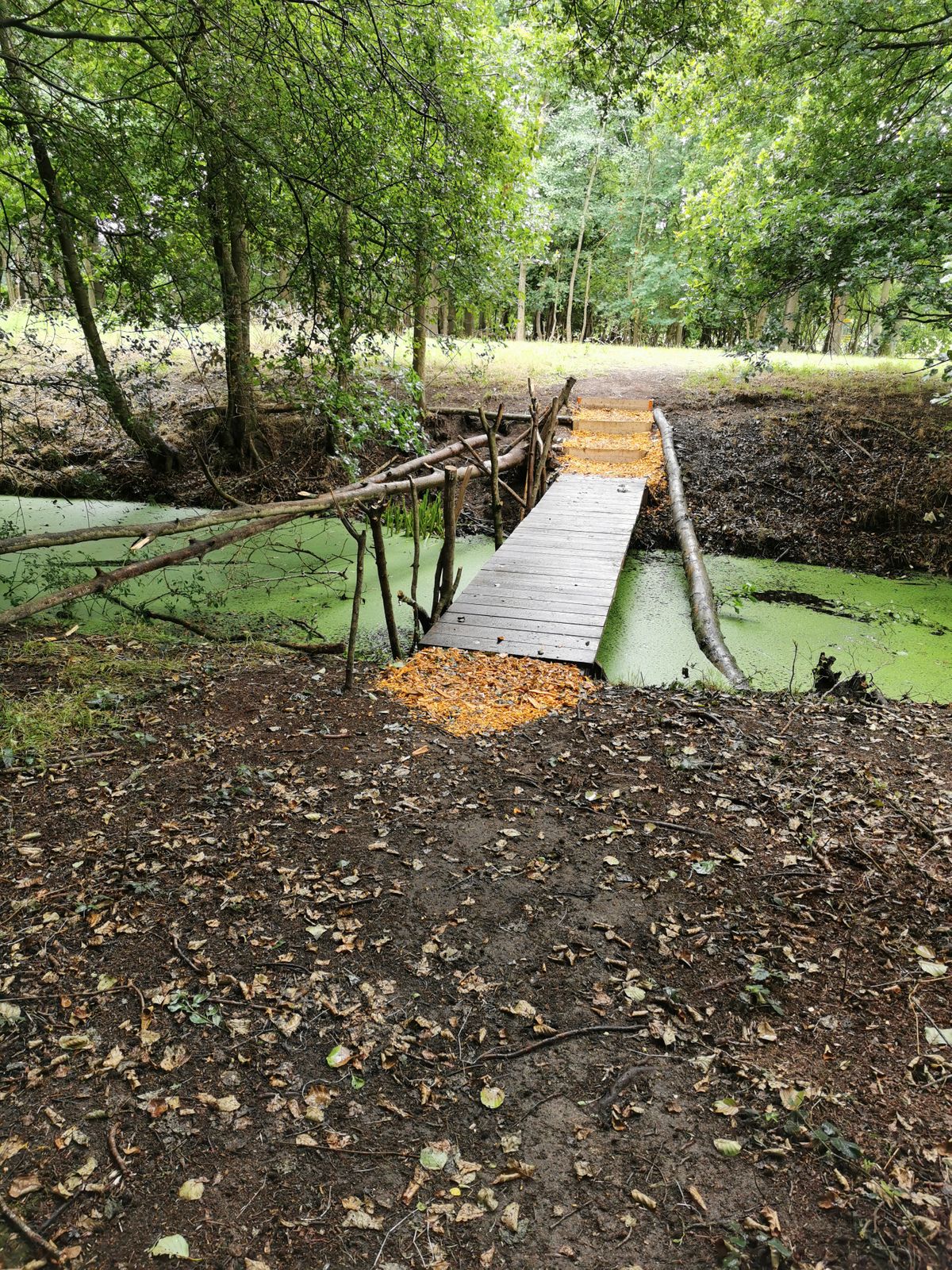 Bridge between hole 7 and hole 8