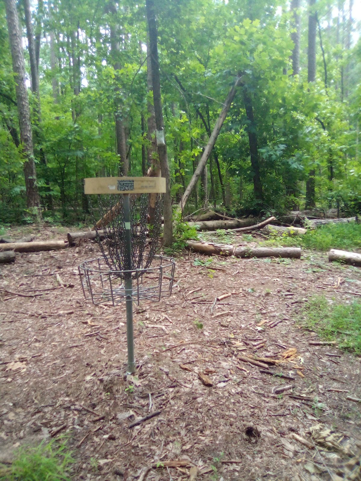 Hole 1
Basket 6/9/24