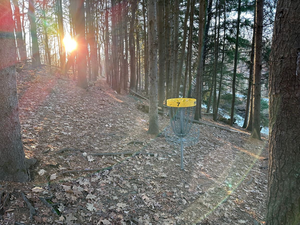 Early morning disc golf.  Great way to start your day.