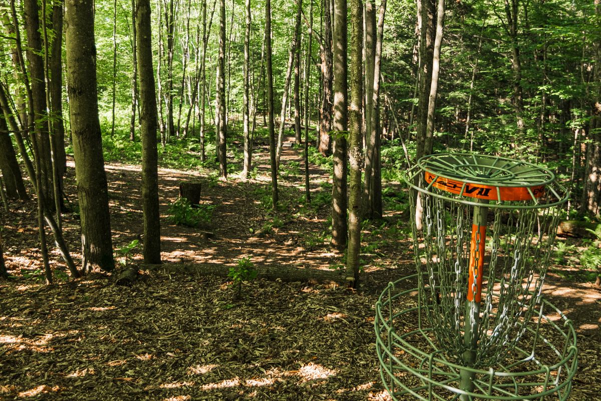 Hole 11 basket